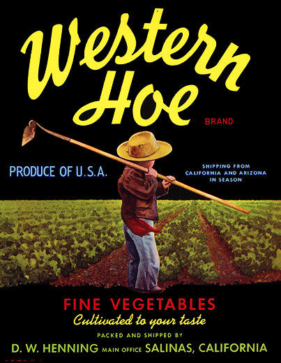 Western Hoe