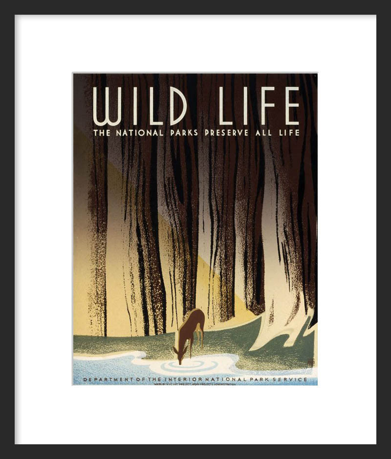 Wild Life: The National Parks Preserve All Life – Vintagraph Art