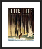 Wild Life: The National Parks Preserve All Life