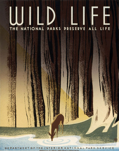 Wild Life: The National Parks Preserve All Life poster