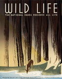 Wild Life: The National Parks Preserve All Life poster